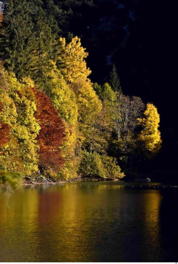 Appartamento Da Romina con parcheggio gratuito Sanzeno Esterno foto