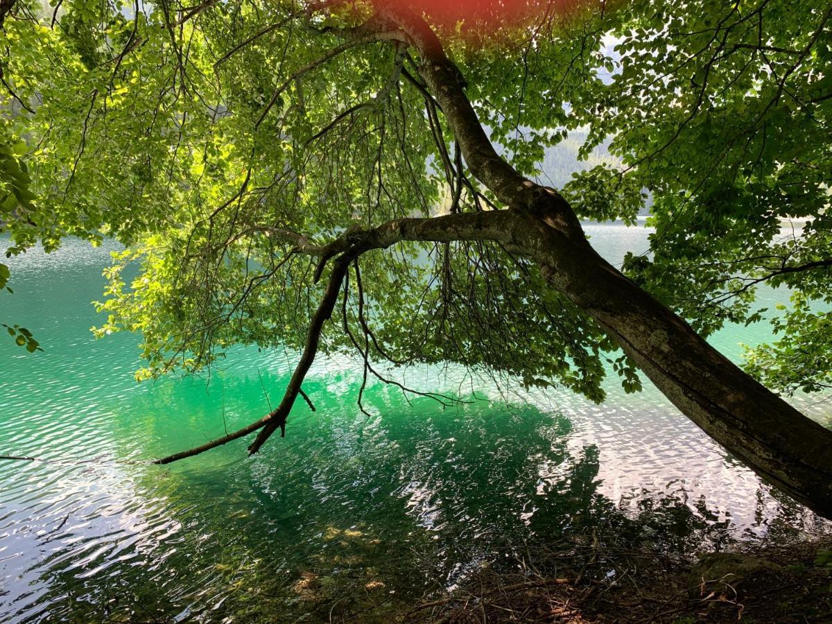 Appartamento Da Romina con parcheggio gratuito Sanzeno Esterno foto