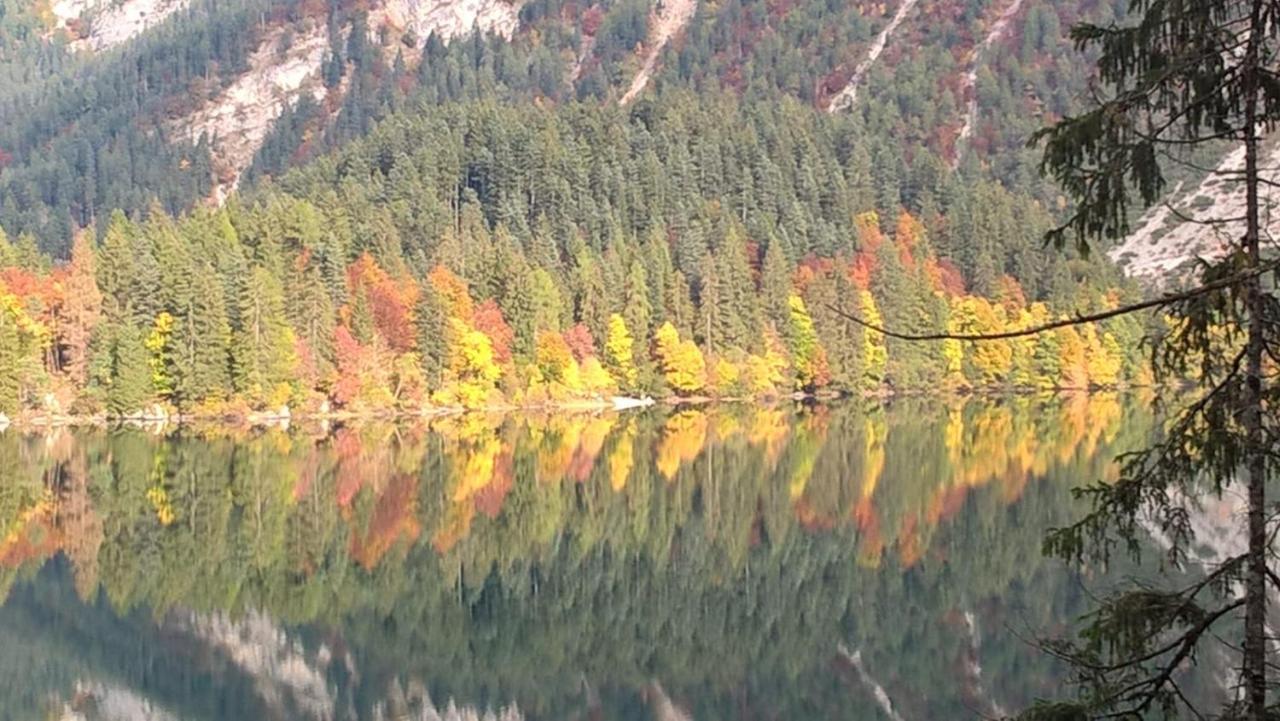 Appartamento Da Romina con parcheggio gratuito Sanzeno Esterno foto